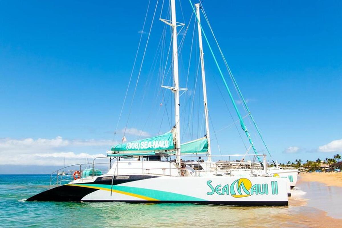 una barca a vela seduta sull'acqua accanto a una spiaggia