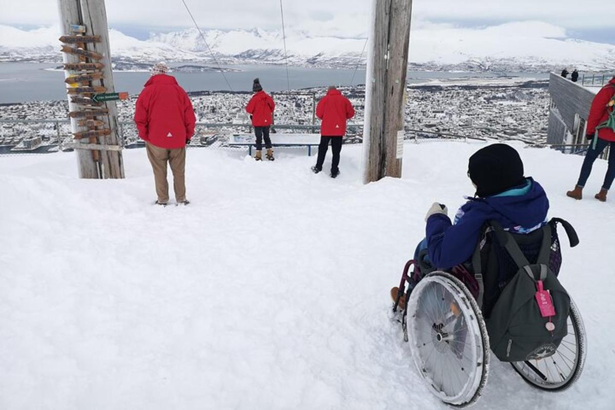 a person in a wheelchair in the snow