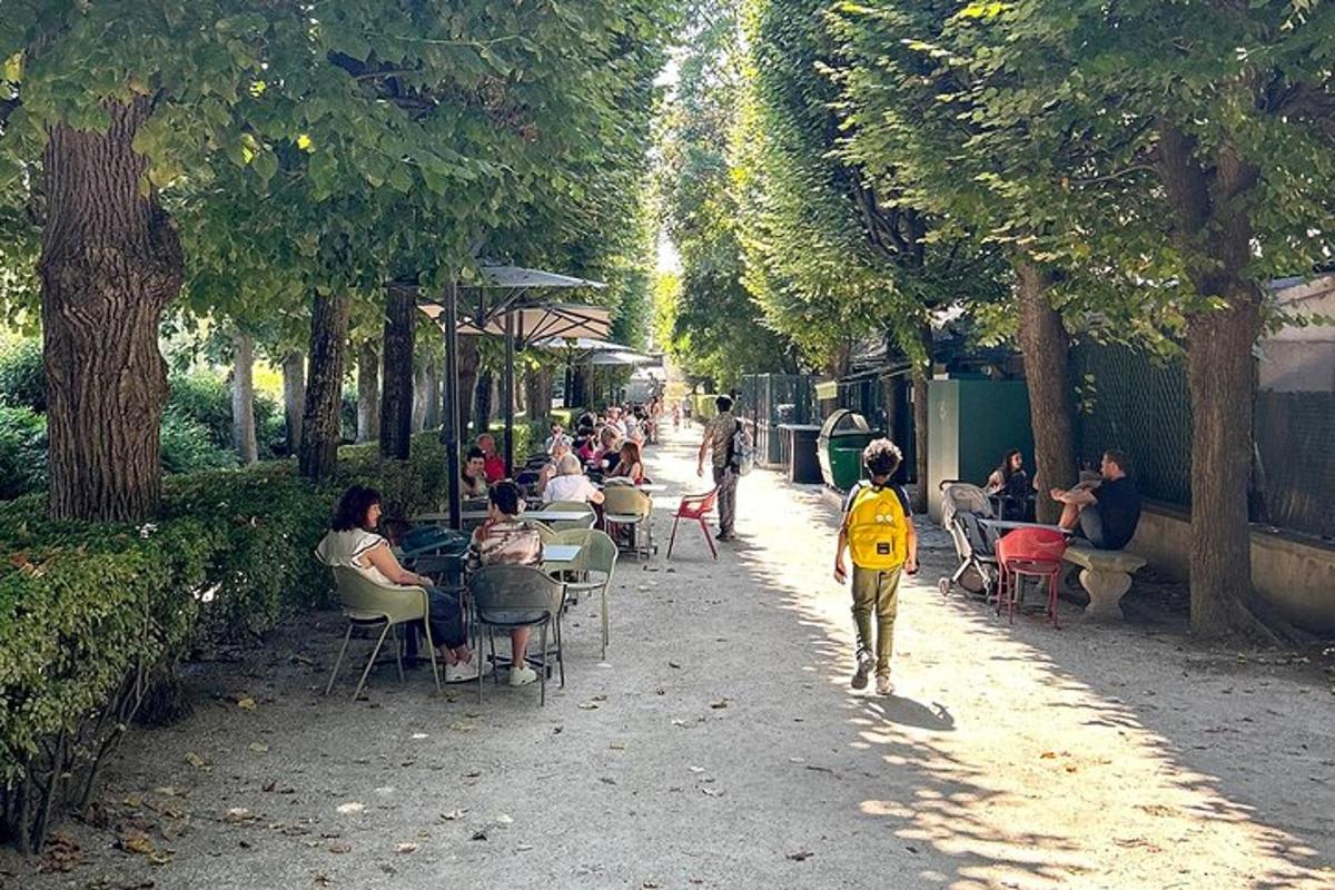 Photo de l’attraction numéro 5.