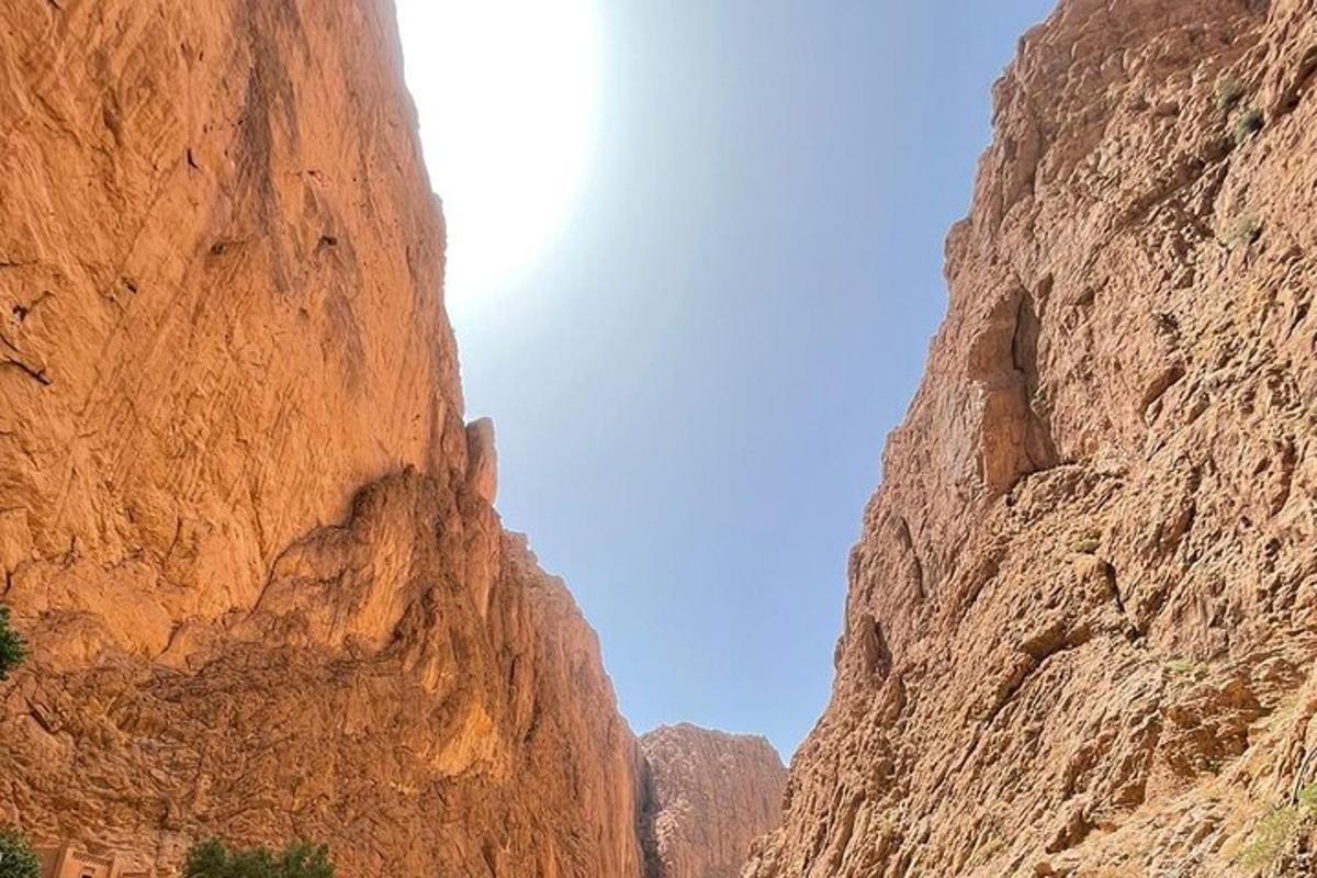 una vista di una parete rocciosa in un canyon