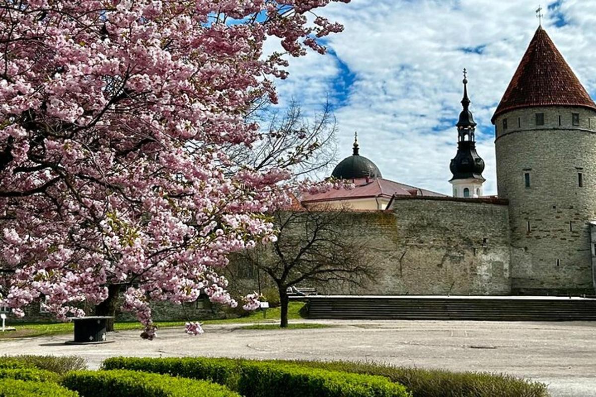 Зображення №1 цього варіанта дозвілля