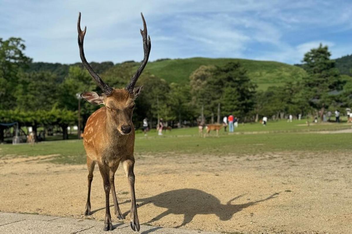 투어 액티비티 사진 5번