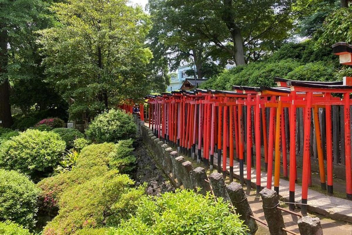 a row of red wooden fences in a garden