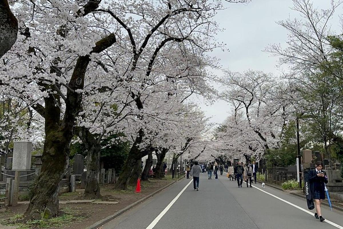people walking down a street with flowering trees
