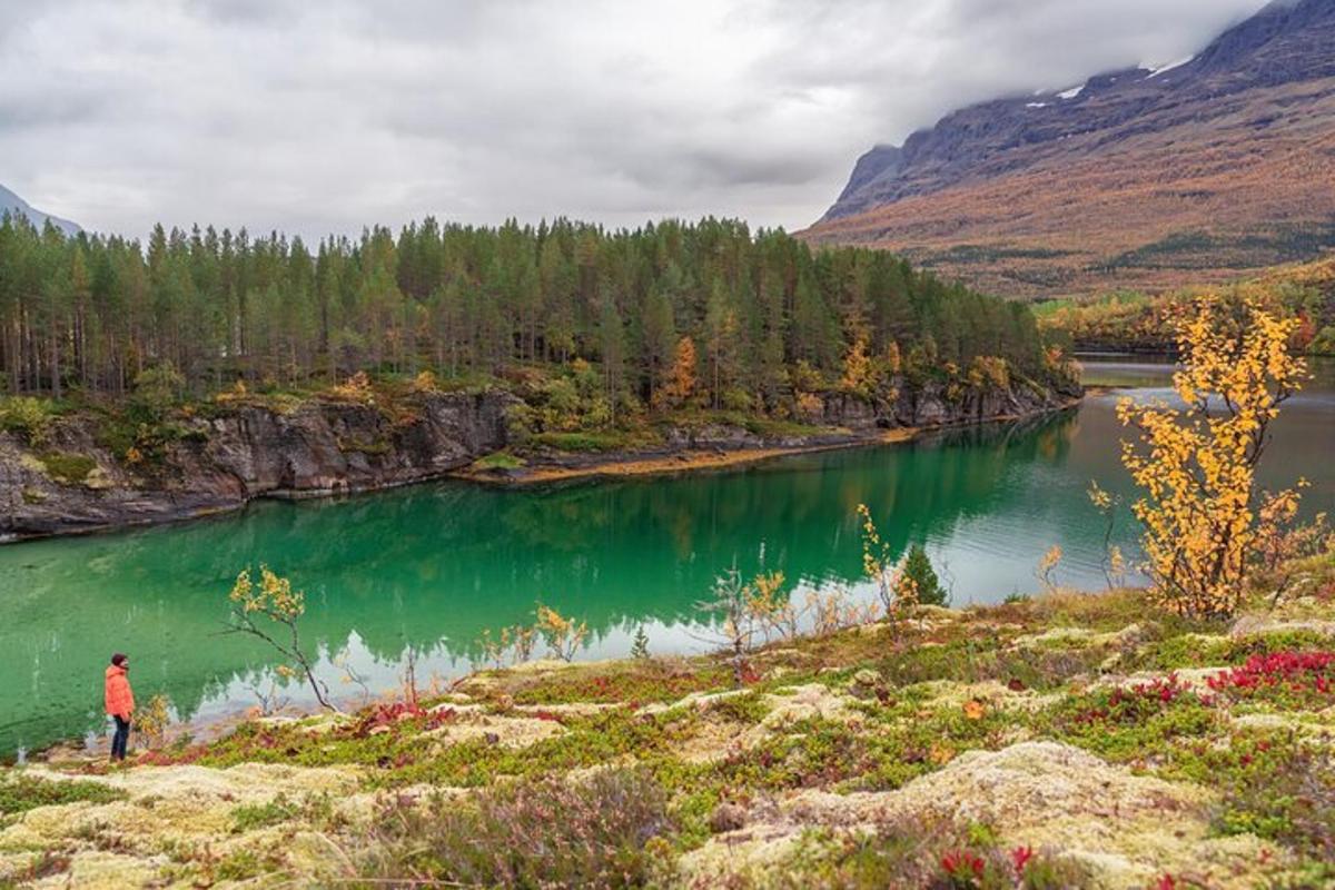 Ljósmynd af afþreyingu 3