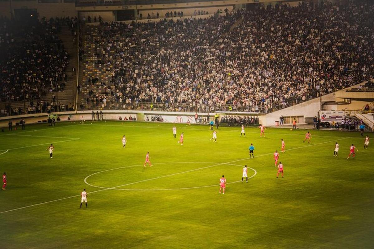 skupina lidí hrajících fotbal na stadionu