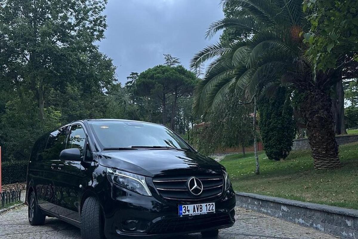 un'auto nera parcheggiata accanto a una palma