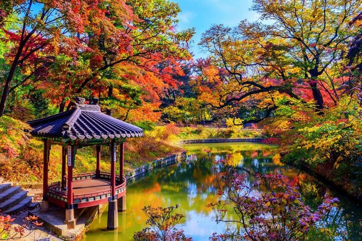 池塘中央的凉亭