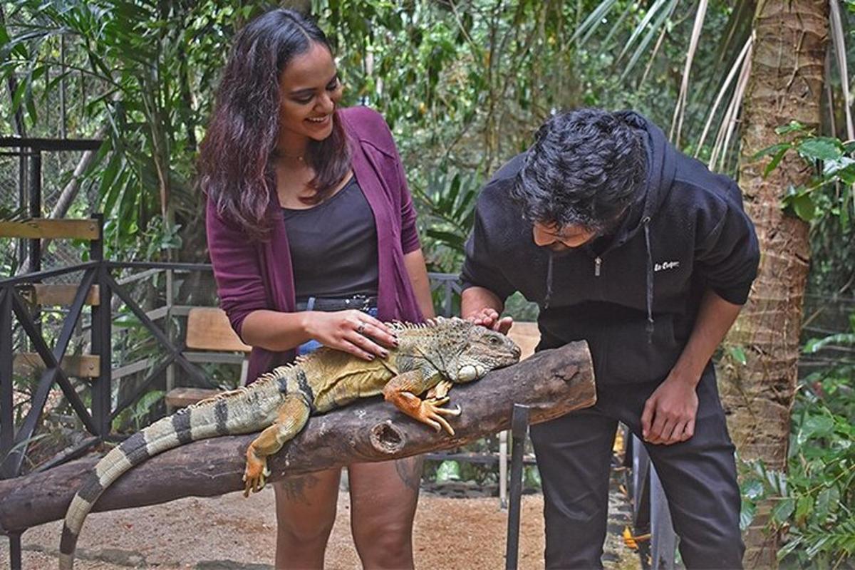 Attraction picture 5