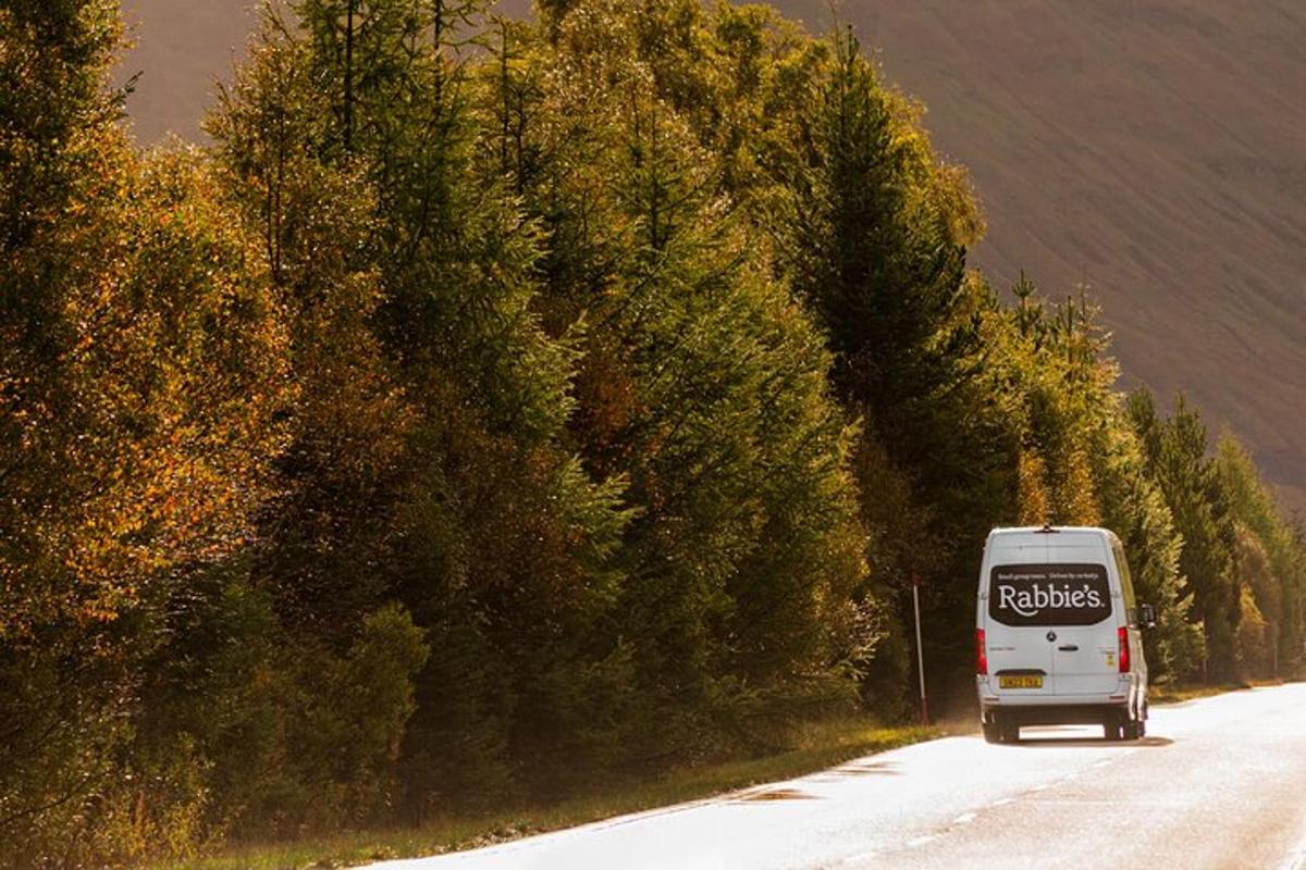 un furgone bianco che percorre una strada accanto agli alberi