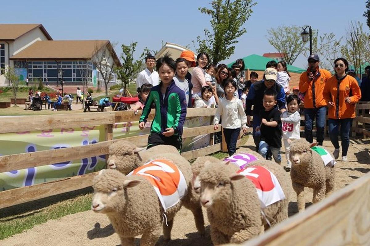 투어 액티비티 사진 1번