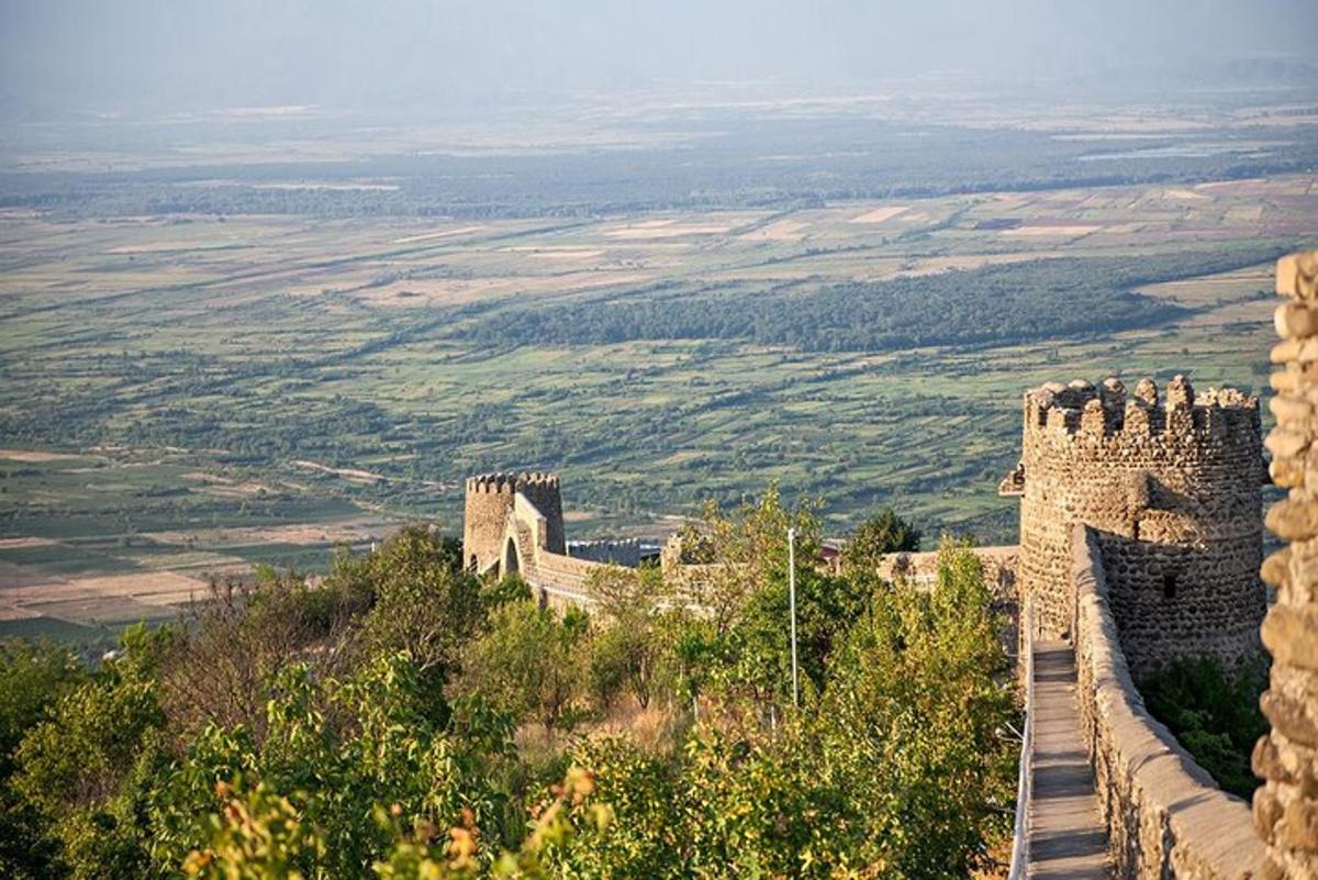 a castle on top of a hill with a view