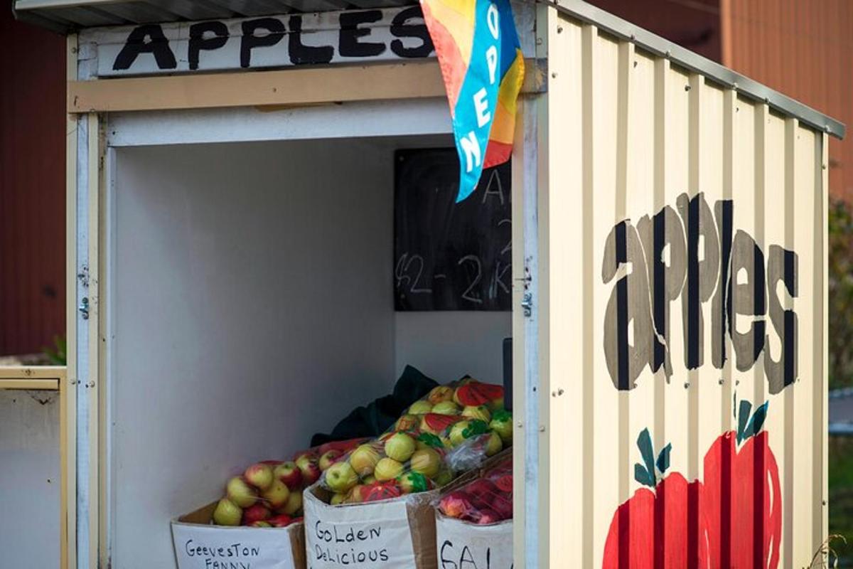 vaisių kioskas su dėžutėse supakuotais obuoliais