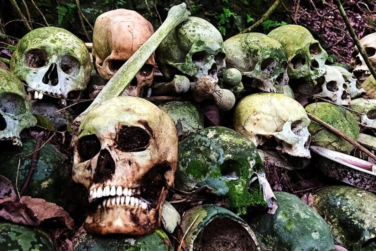 longgokan tengkorak yang duduk di atas batu