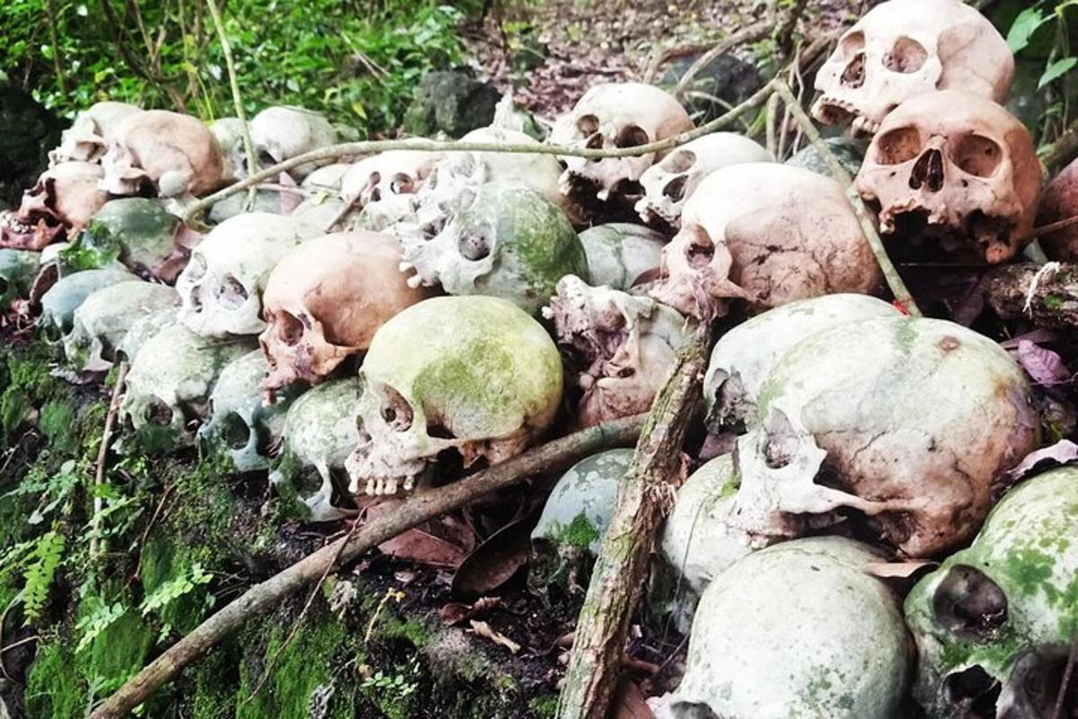 sekumpulan tengkorak dan tulang di atas tanah