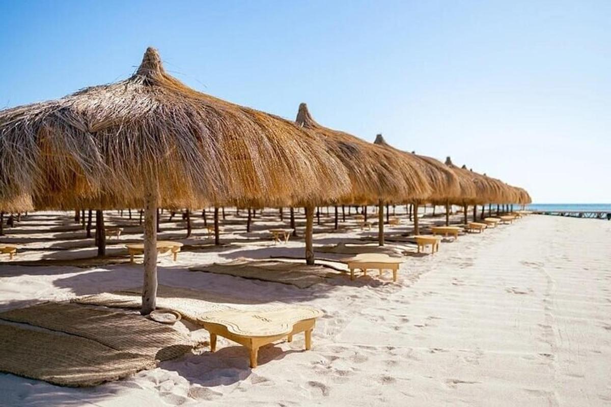 a row of straw umbrellas on a beach