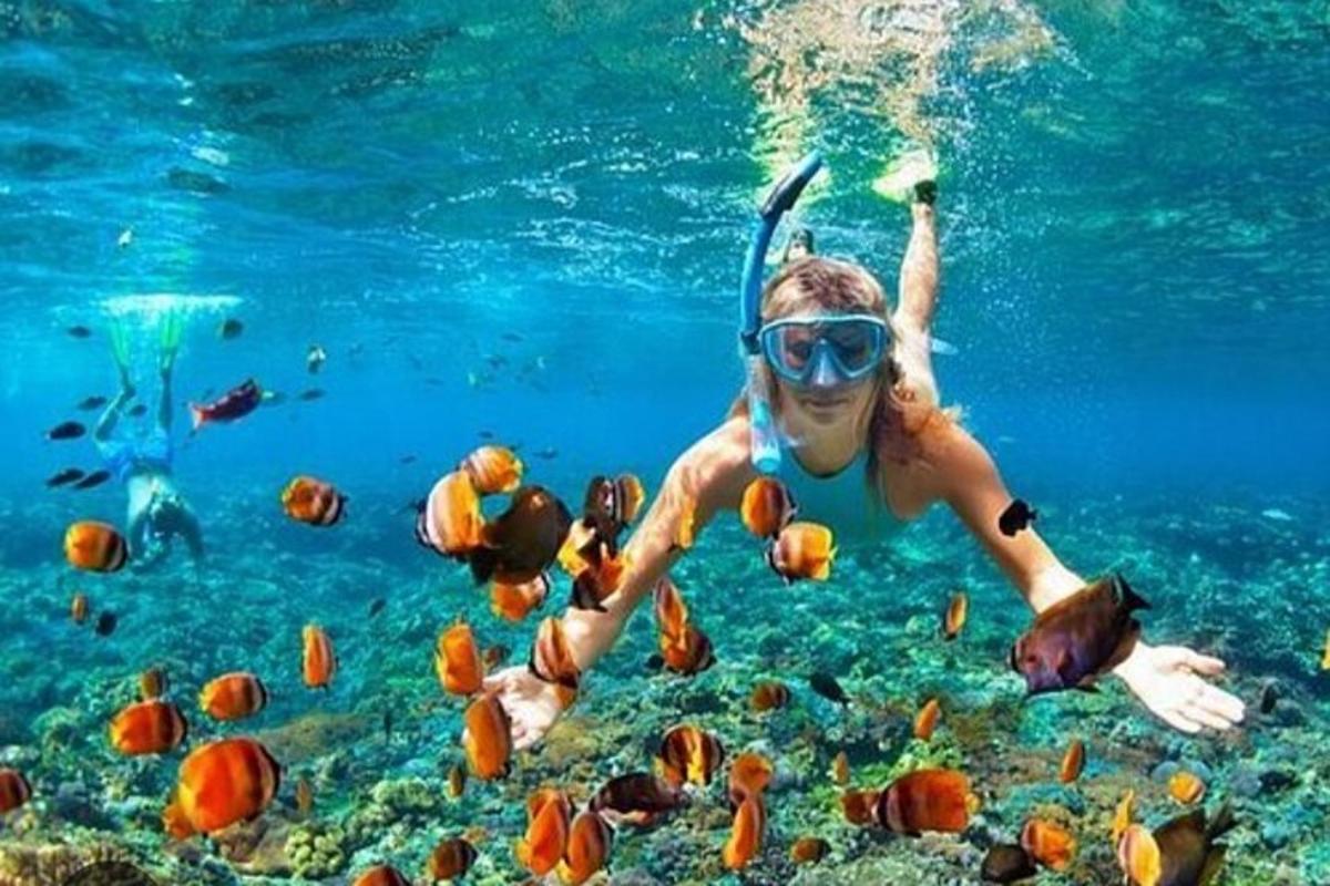seorang wanita berenang di air bersama ikan