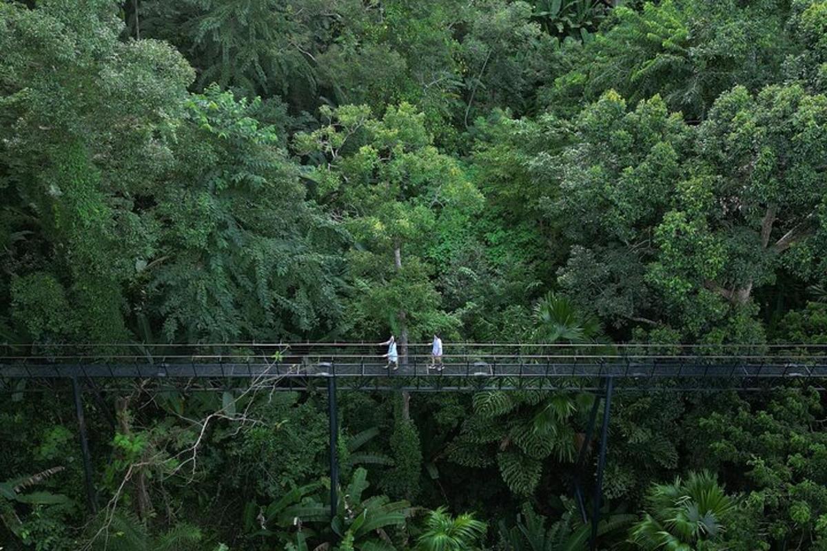 due persone in piedi su un ponte nella foresta