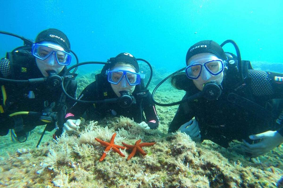 tre persone in attrezzatura subacquea su una barriera corallina