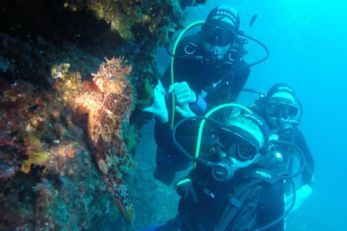 due persone in attrezzatura subacquea accanto a una barriera corallina