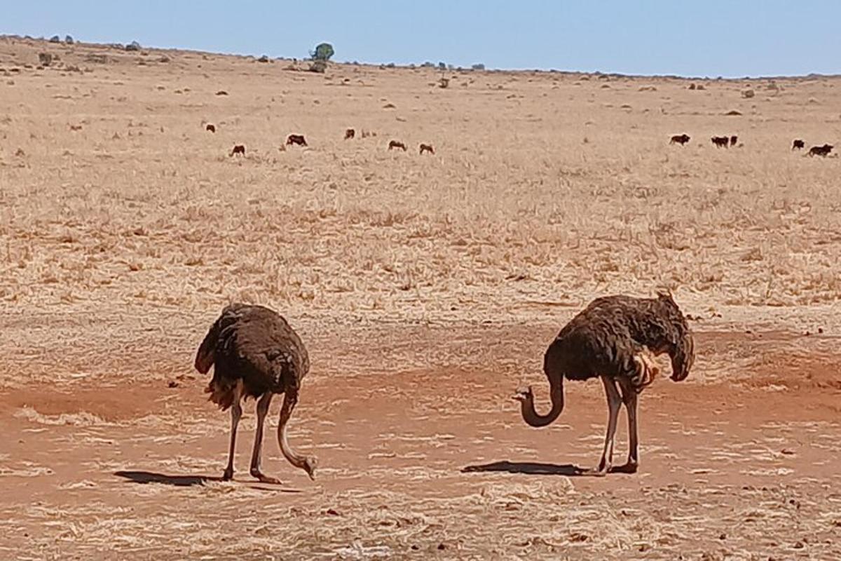 Fotografia da atração 7