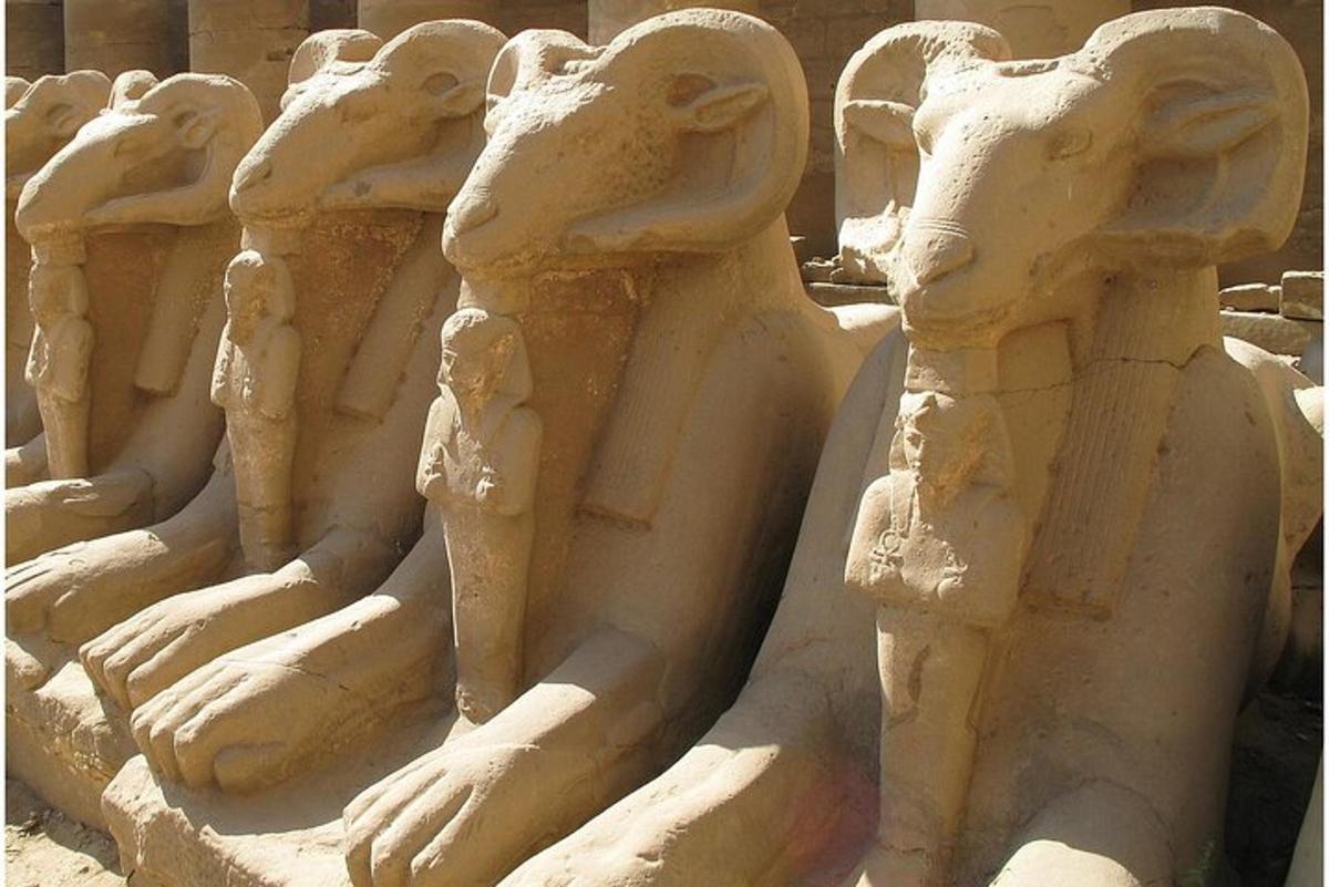 una scultura di animali sul lato di un edificio