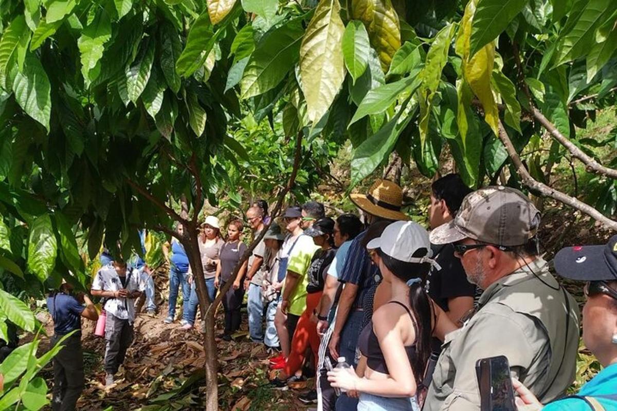 a group of people standing in a forest