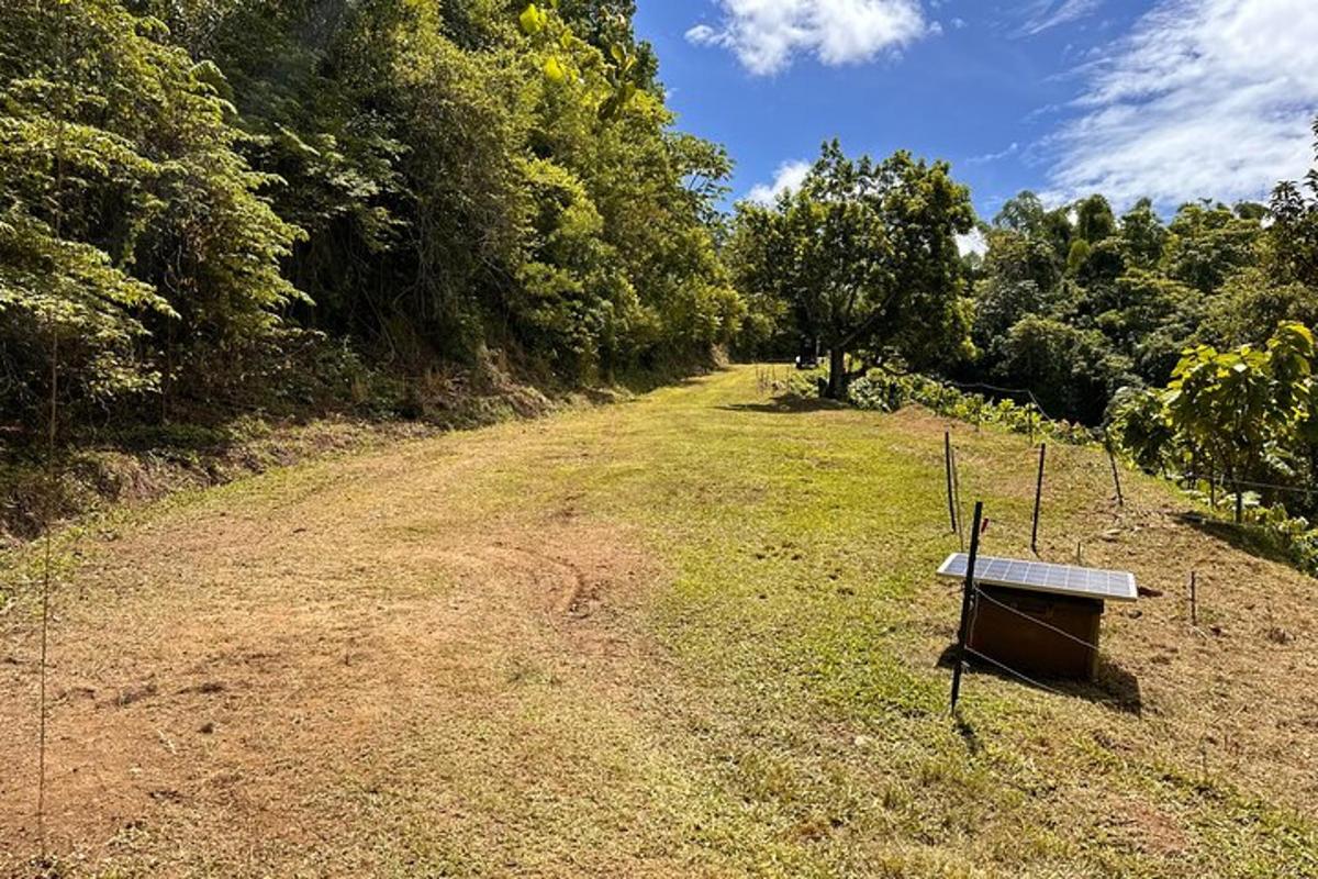 a bench sitting on the side of a dirt road
