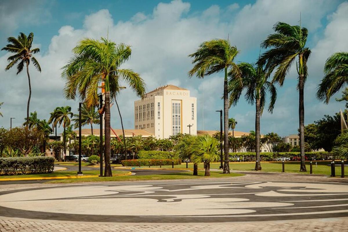 Un gran edificio blanco con palmeras delante.