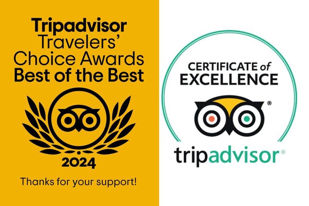 pár cedulí s nápisem „trickologist Travelers Choice Awards Best of the Best“