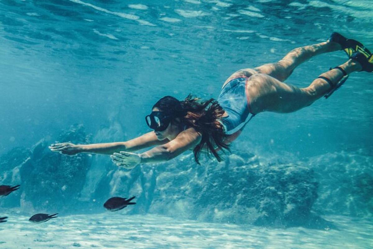 a person swimming in the water with fish