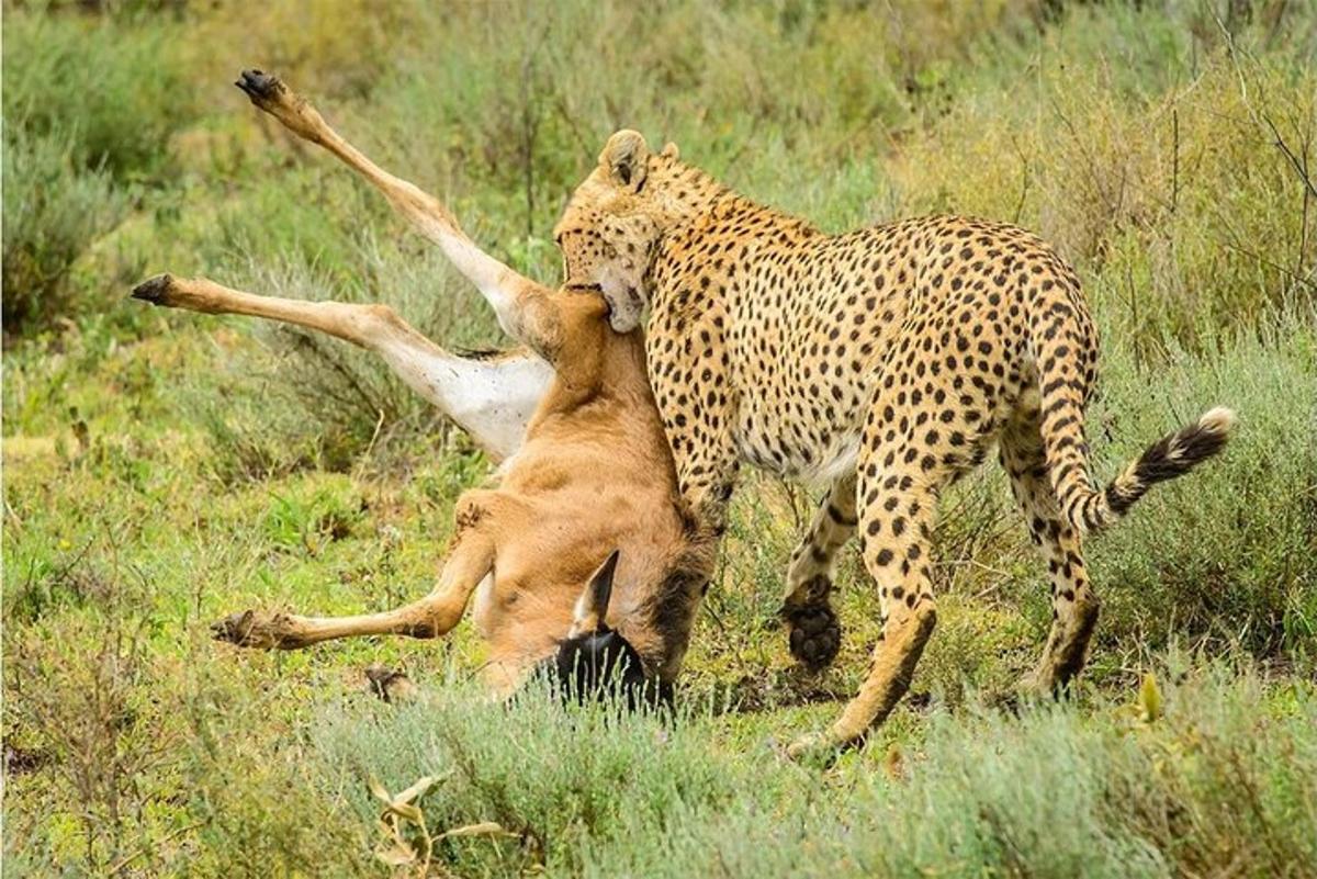 1枚目の観光スポット・アクティビティの写真