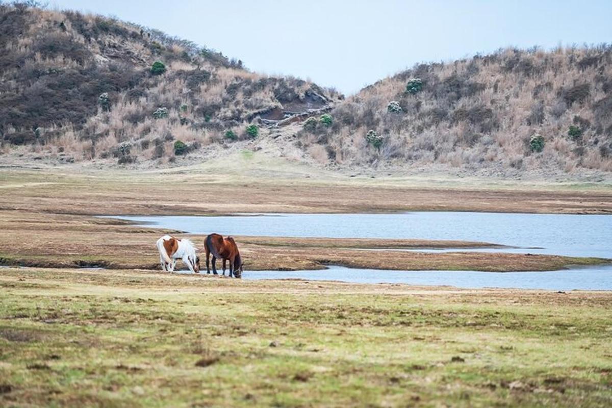 6 foto atraksi wisata