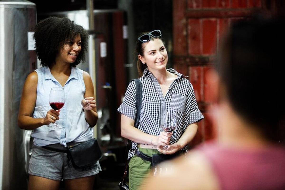 dve ženski, ki hodita po ulici in držita kozarca vina
