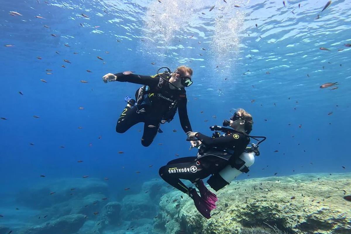 Lankytinos vietos ar pramogos nuotrauka numeris 1