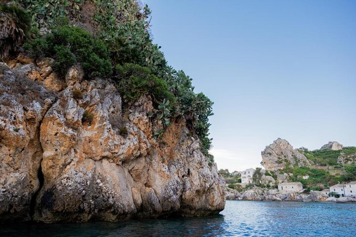 a rocky cliff with plants on it in the water