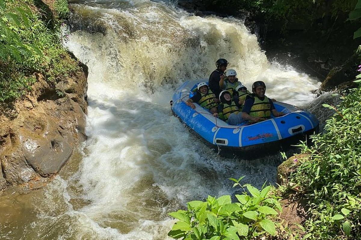 Photo de l’attraction numéro 2.