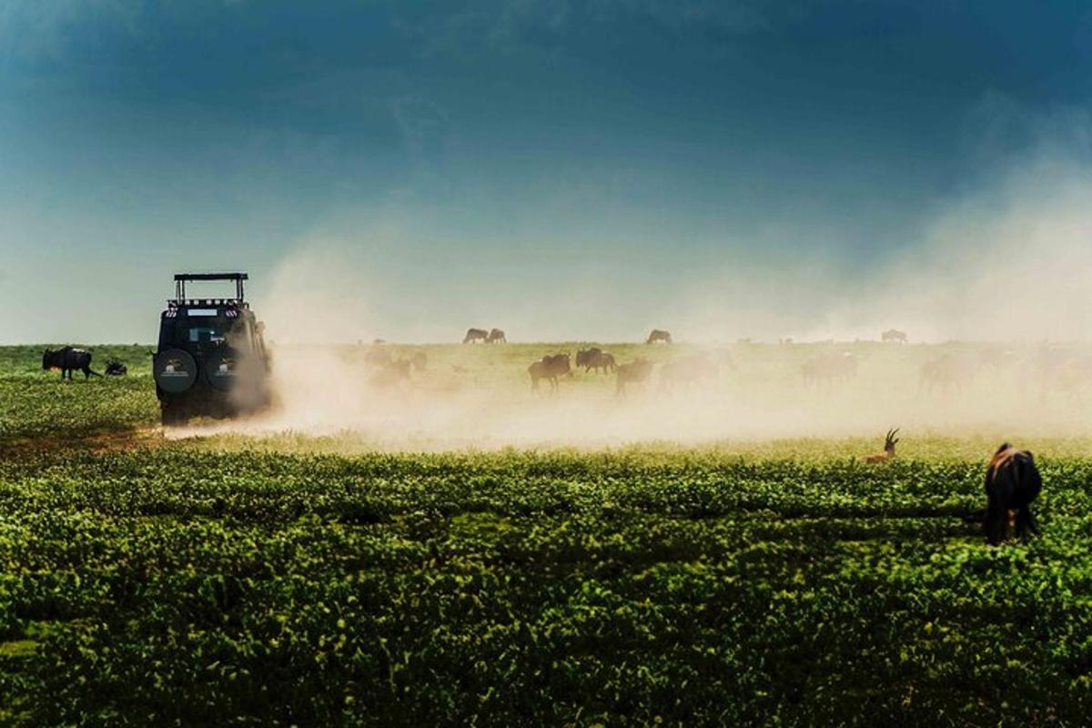 egy traktor egy mezőn, lovakkal a háttérben