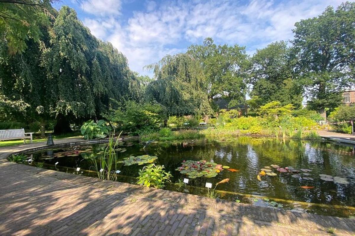 park s jezírkem a spoustou květin a stromů
