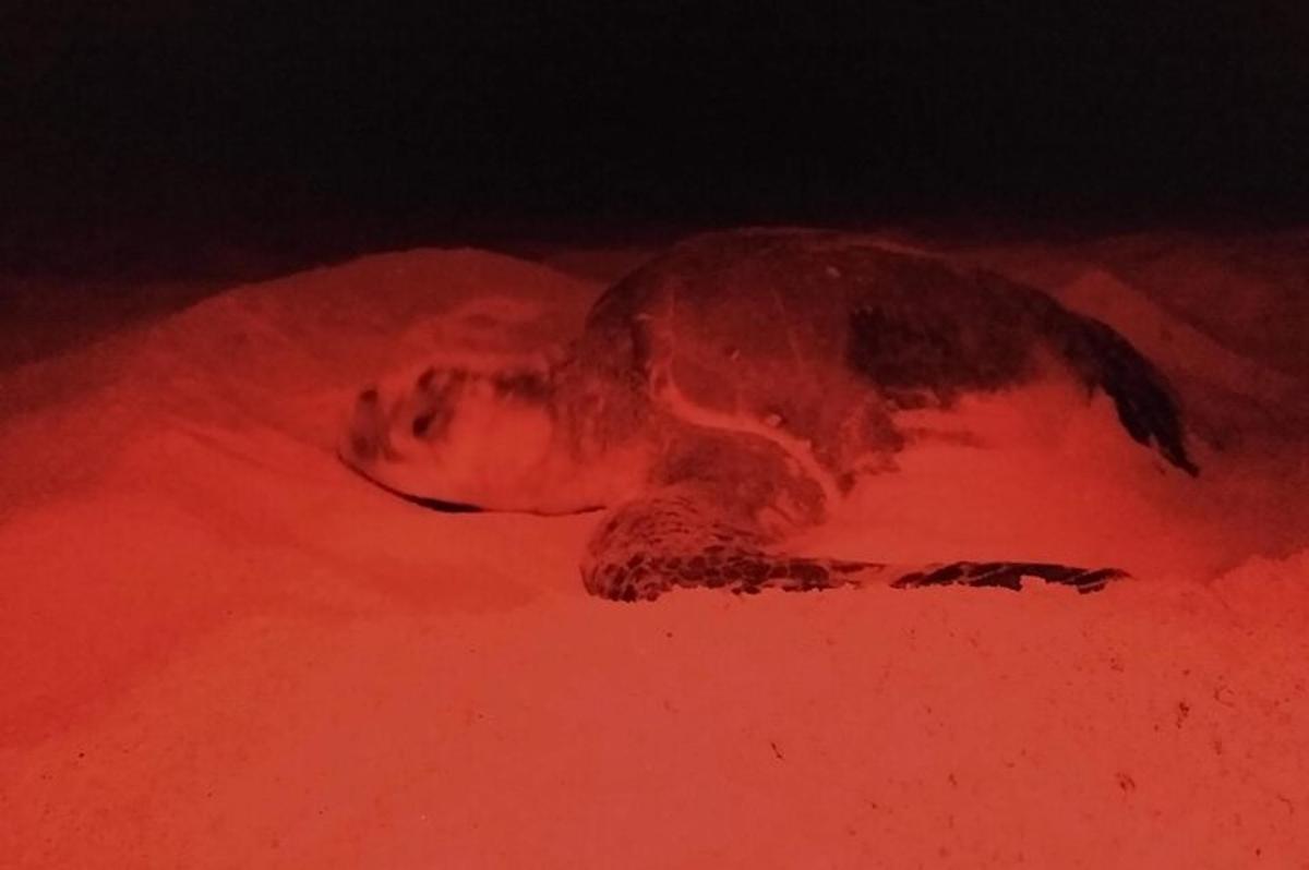 a person laying in the sand in red light