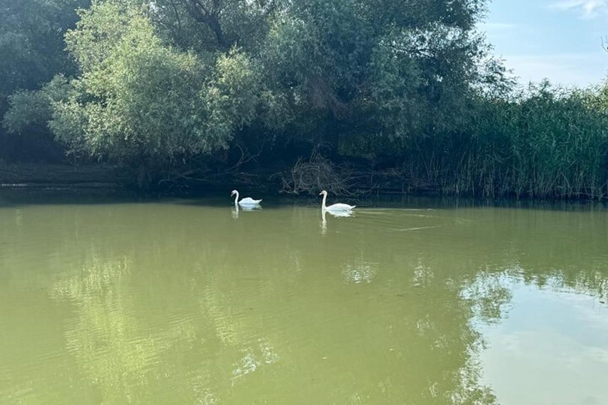 תמונה מספר 6 של האטרקציה