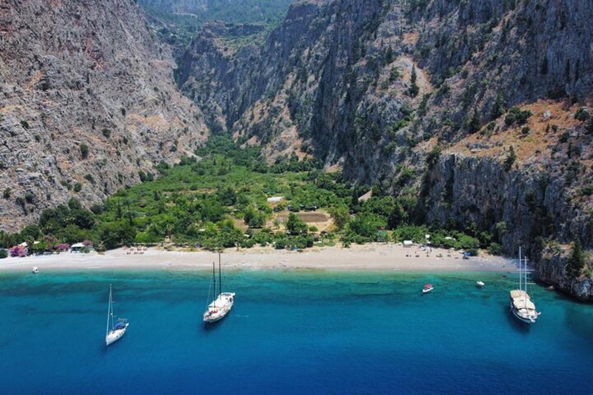 un grup de vaixells asseguts a l'aigua a la platja