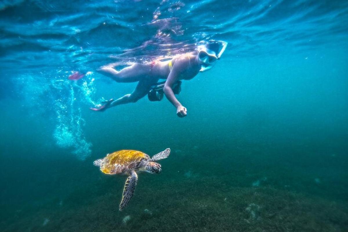 Lankytinos vietos ar pramogos nuotrauka numeris 1