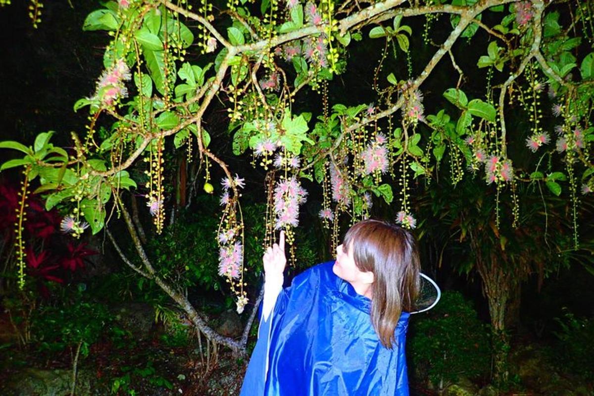 a woman is looking up at a tree with flowers