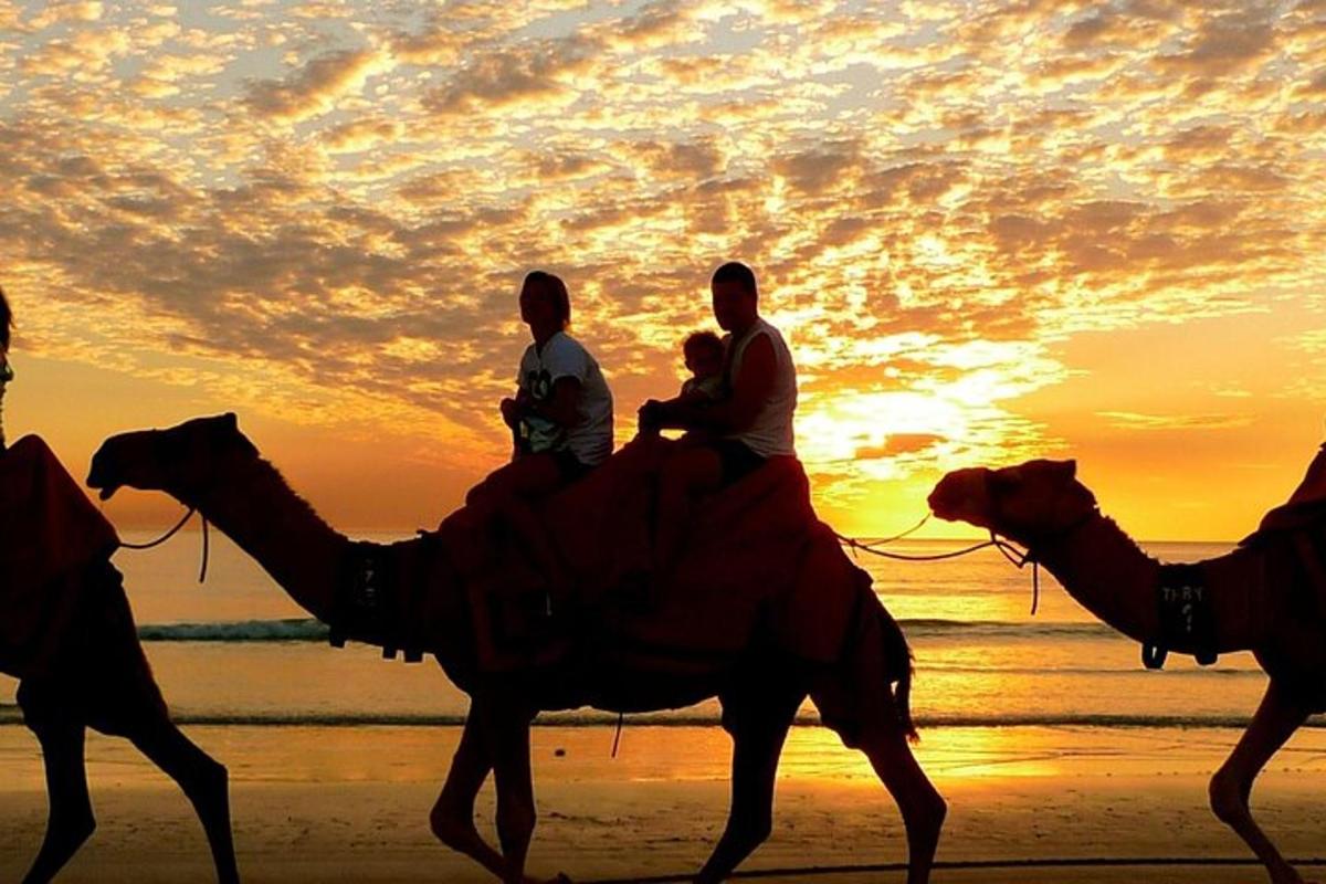 sekumpulan orang menunggang unta di pantai pada waktu matahari terbenam