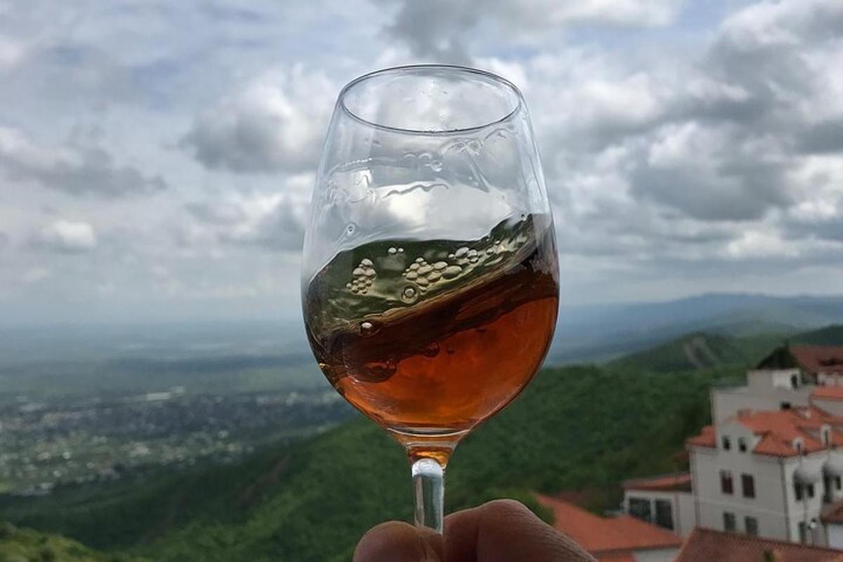 osoba držící sklenici vína s výhledem
