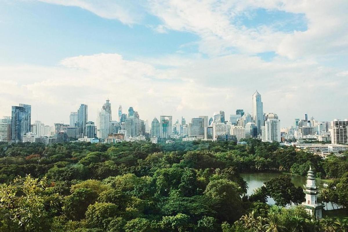 una vista dello skyline di una città con una città