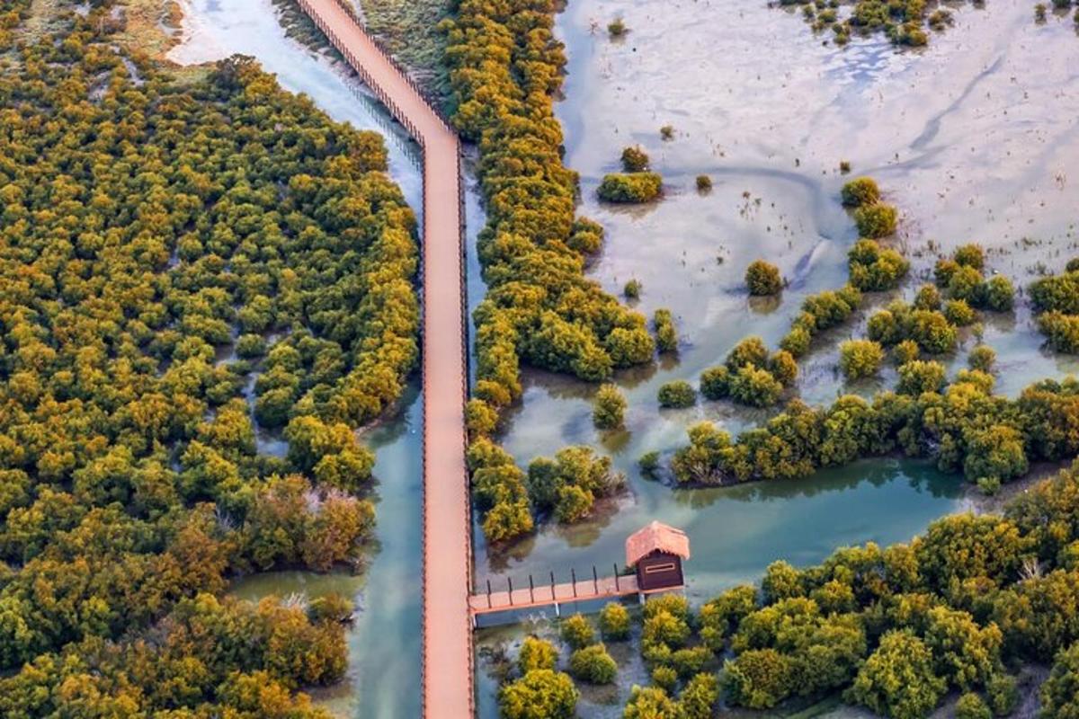 an aerial view of a river with a bridge and trees