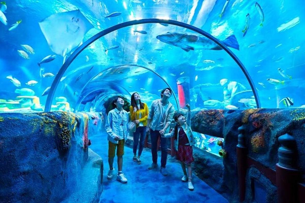 a family standing in front of an aquarium