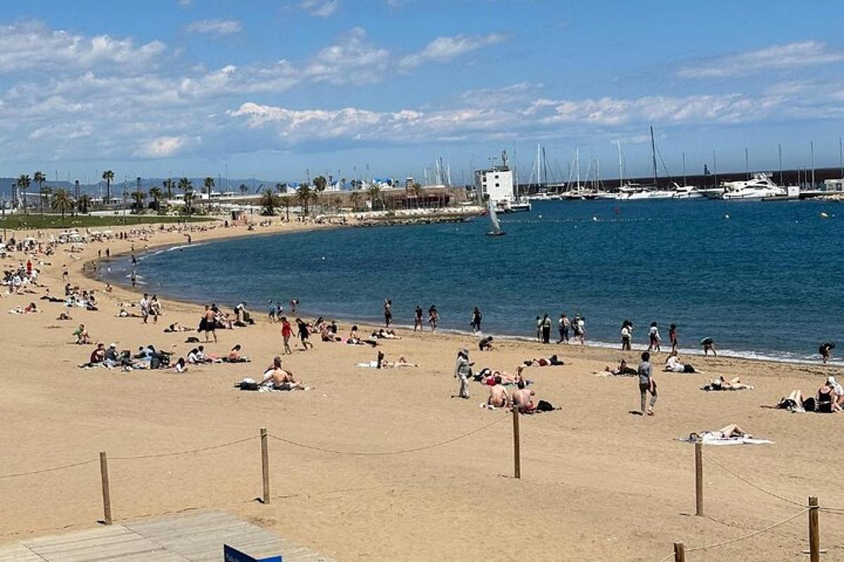 група людей на пляжі біля води